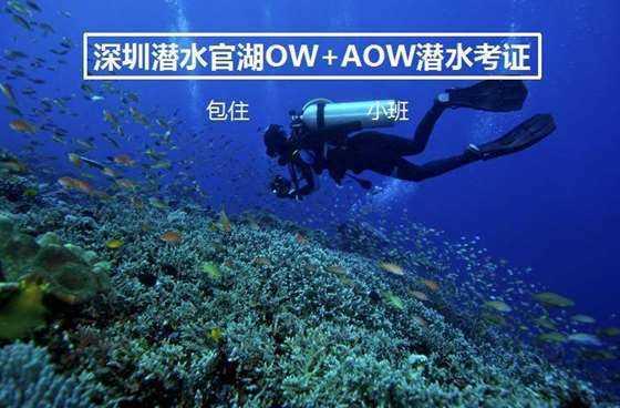 “好品山东·产自临沂”(青岛) 食品博览会在青岛开幕