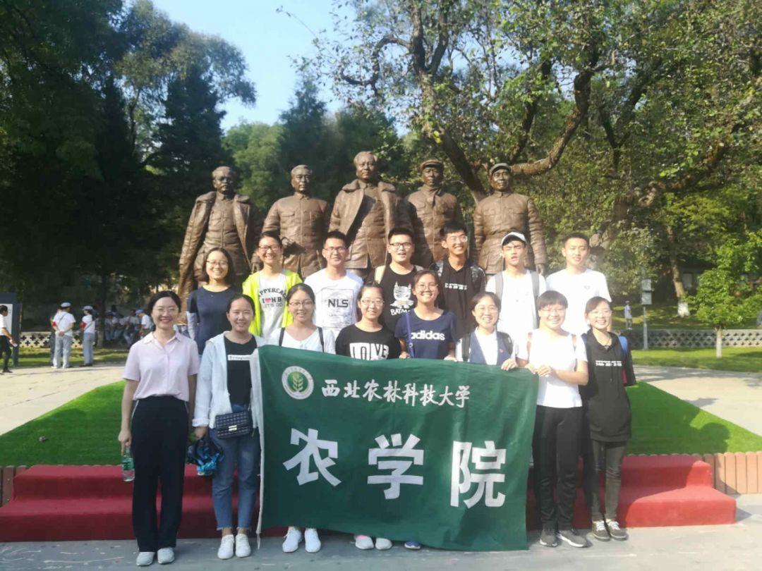 逗小猴开心系列179