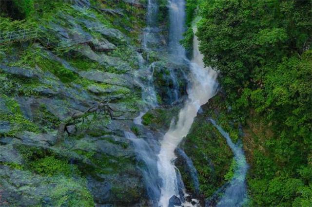 杨艳霞 减轻就医负担
